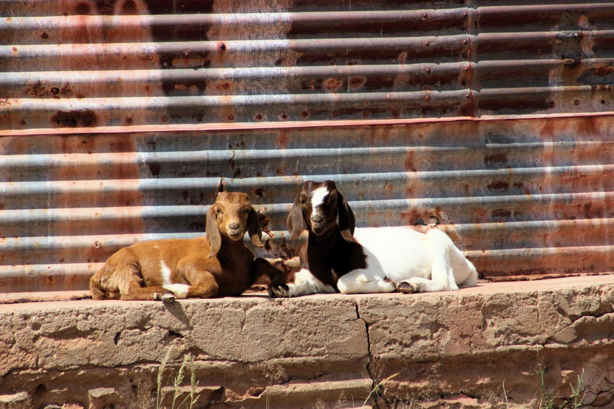 The Farm Life - Namibia Apartment Maltahohe Exterior photo